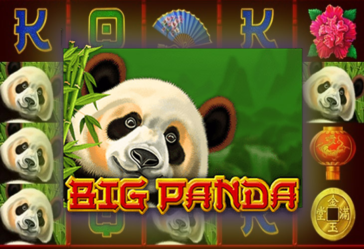 панда казино