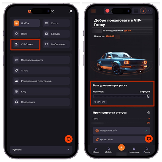 Раздел программы лояльности
